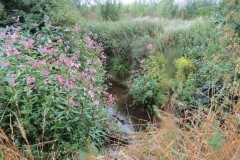 Upstream-from-ROW-Bridge-466-9