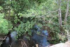 1.-Looking-downstream-from-Bow-Bridge