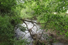10.-Upstream-from-Bow-Bridge-1