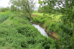 10.-Upstream-from-Bow-Bridge-2