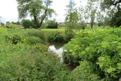 10.-Upstream-from-Bow-Bridge-3