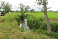 19.-Upstream-from-Chinnock-Brook-Join-1