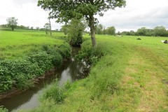 19.-Upstream-from-Chinnock-Brook-Join-2