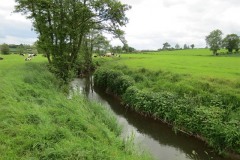 19.-Upstream-from-Chinnock-Brook-Join-3