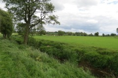 19.-Upstream-from-Chinnock-Brook-Join-5