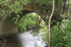 6.-Bow-Bridge-upstream-arch