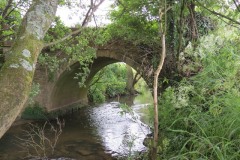 7.-Bow-Bridge-upstream-arch
