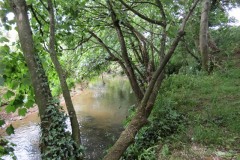 9.-Upstream-from-Bow-Bridge