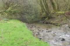 10. Flowing through Holwell Wood