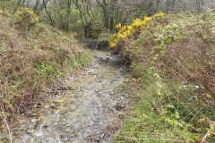 15. Flowing near the disused Lynton & Barnstable track bed