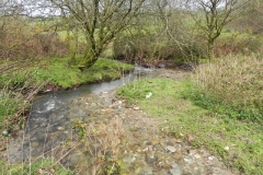 16. Flowing near the disused Lynton & Barnstable track bed