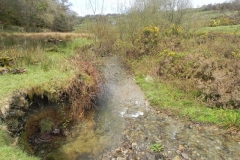 17. Flowing near the disused Lynton & Barnstable track bed