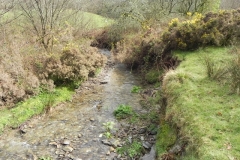 18. Flowing near the disused Lynton & Barnstable track bed