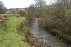 19. Flowing near the disused Lynton & Barnstable track bed