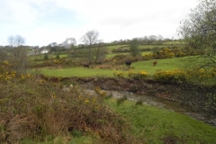 20. Flowing near the disused Lynton & Barnstable track bed