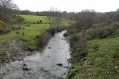 21. Flowing near the disused Lynton & Barnstable track bed