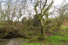7. Ruins downstream from A39 Culvert