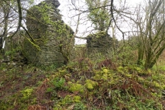 8. Ruins downstream from A39 Culvert