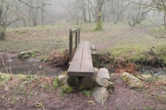 44. The Boy's Path Footbridge