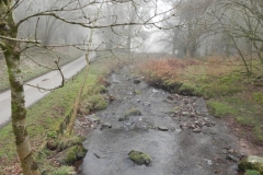 46. Looking downstream from The Boy's Path Footbridge