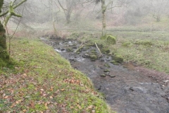 47. Downstream from Aller Combe