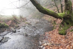48. Downstream from Aller Combe
