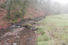 49. Downstream from Aller Combe