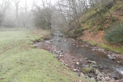 50. Downstream from Aller Combe
