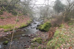 51. Downstream from Aller Combe