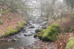 52. Downstream from Aller Combe