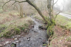 53. Downstream from Aller Combe