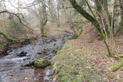 54. Upstream from Cloutsham Splash
