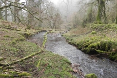 55. Upstream from Cloutsham Splash