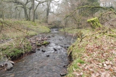 56. Upstream from Cloutsham Splash