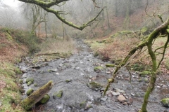 57. Upstream from Cloutsham Splash