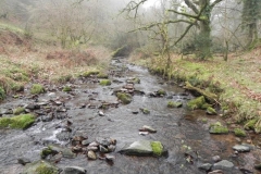 58. Upstream from Cloutsham Splash