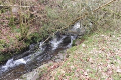 65. Downstream from  Cloutsham Splash