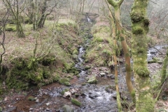 67. Waters join from Hollow Combe