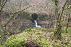 68. Waters join from Hollow Combe