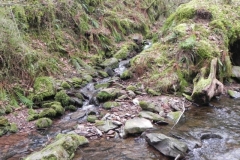 69. Waters join from Hollow Combe