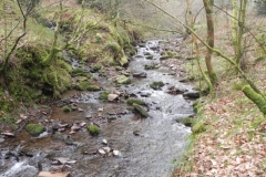 70. Waters join from Hollow Combe