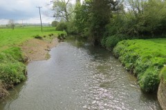 4.-Looking-upstream-from-Ashford-Mill-Bridge
