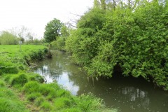 6.-Upstream-from-Asford-Mill-Bridge-1