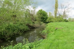 6.-Upstream-from-Asford-Mill-Bridge-3
