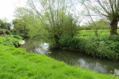6.-Upstream-from-Asford-Mill-Bridge-4