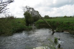 Downstream-from-South-Bradon-4