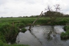 Downstream-from-South-Bradon-6