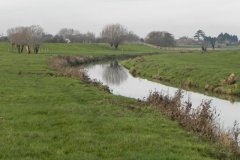 15.-Downstream-from-Church-Drove-Bridge