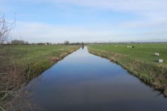 19.-Looking-downstream-from-Stathe-Bridge