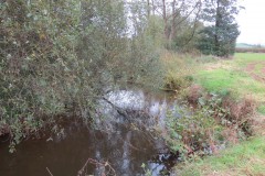 2.-Downstream-from-Cooks-Mill-weir-4
